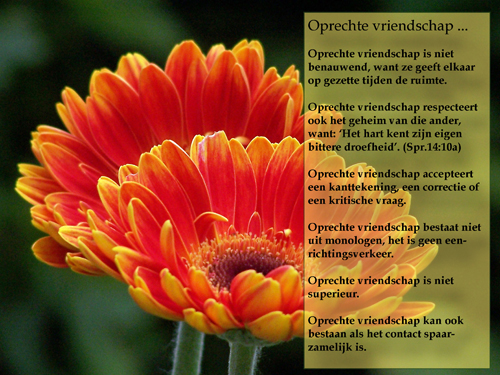 Klik voor een vergroting!